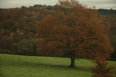 020_souvenir-d-automne.jpg