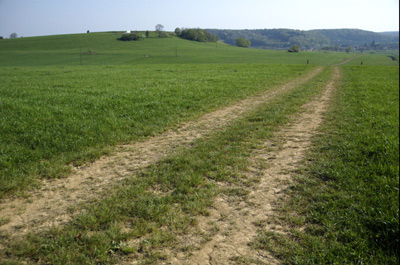 065_le-chemin.jpg
